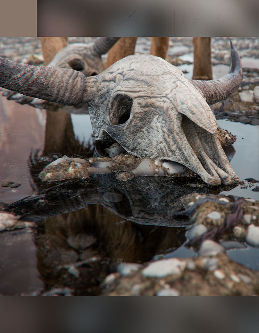 A detailed macro render of a heavily bleached and weathered bull skull prop resting on a wet, stony shoreline mud terrain surface.